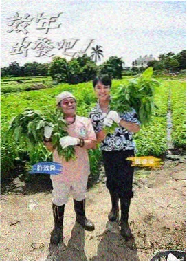 纪实综艺《深夜食摊》蜜桃免费观看电视剧高清完整版